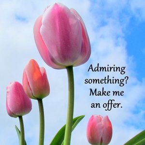 I WELCOME OFFERS & BUNDLES